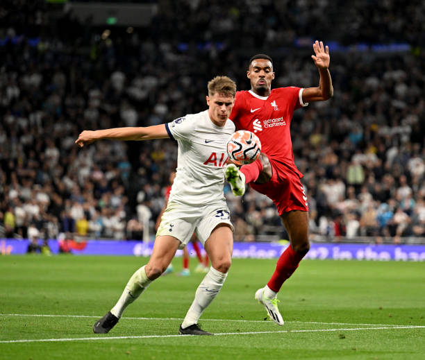 撑竿跳高技 撑竿跳高技