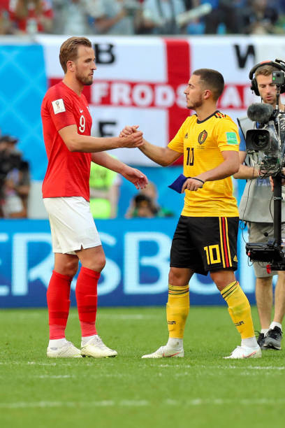 的出色嗅觉 的出色嗅觉